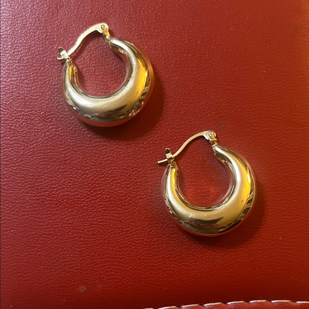 Elegant Gold Hoop Earrings
